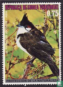 Asiatische Vögel    