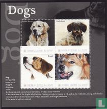 chiens