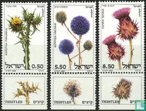 Thistles