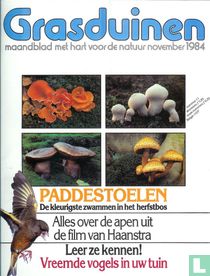 Grasduinen 11