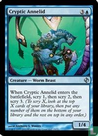 Cryptic Annelid