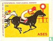paarden rennen