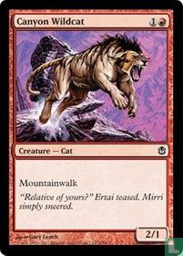 Canyon Wildcat