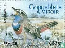 Blaukehlchen