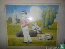 Man in landschap met stenen