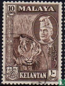 Sultan Ibrahim with national motives