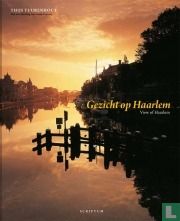 Gezicht op Haarlem View of Haarlem