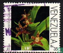 Orchids