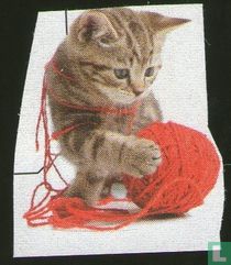 Katje met bolletje wol