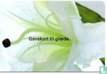 Bog & ide