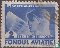 Pilot and aeroplane