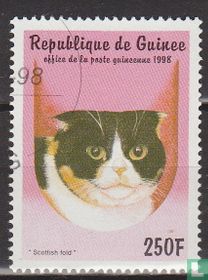 Chats