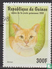 Chats 