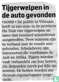 Tiger cubs found in car