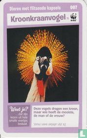 Kroonkraanvogel
