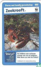 Zeekreeft