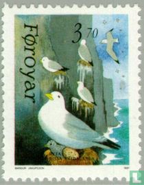 Oiseaux de mer acheter