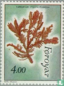Plantes acheter