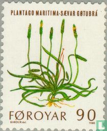 Flowers for sale