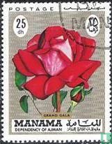 Roses 