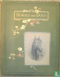 Horses and dogs 