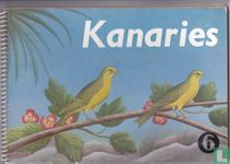 Kanaries