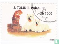 Hunde und Katzen kaufen
