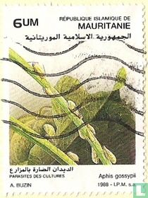 Les insectes