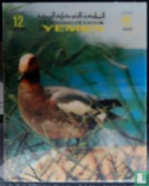 Oiseaux acheter