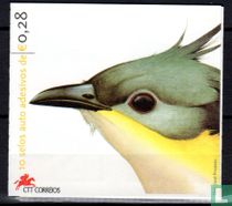 Oiseaux