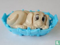 Chien dans le panier