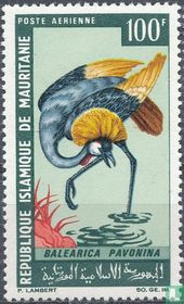 Oiseaux