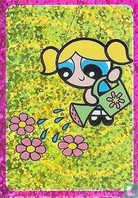 The Powerpuff Girls Panini  