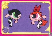 The Powerpuff Girls Panini   