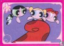 The Powerpuff Girls Panini  