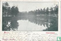 Delpratsingel