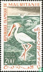 Oiseaux