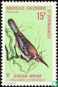 Oiseaux