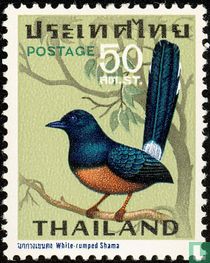 Oiseaux