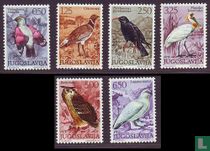 Oiseaux