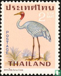 Oiseaux
