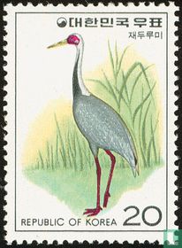 Oiseaux