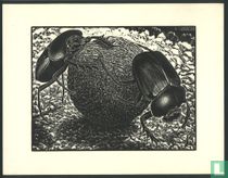 Escher, M.C. catalogue de gravures et dessins