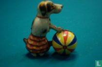 Hond met bal
