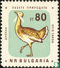 Oiseaux