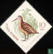 Oiseaux