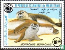 Phoque moine-WWF