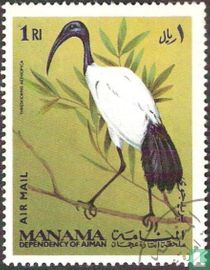 Oiseaux 
