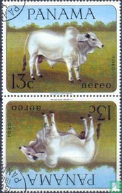 Farm Animals