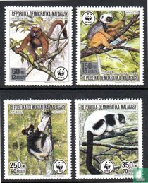Lemurs